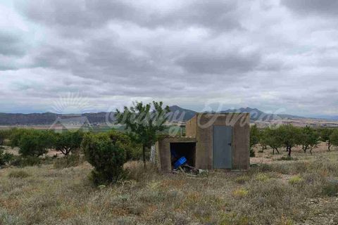 Landejendom i Caudete, Albacete, Caudete - € 39.000 | Ref: SF0580 - foto 12